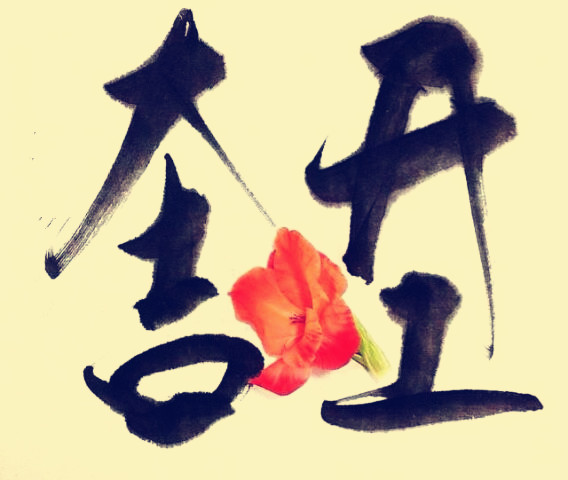 駿業(yè)包裝開工大吉！